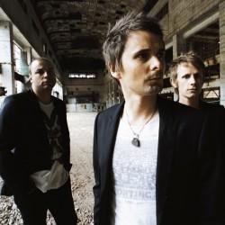 Muse