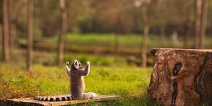 Песни которые помогут проснуться