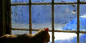 Новая музыка для зимних вечеров