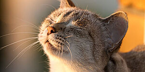 Весна пришла