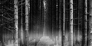 Музыка до мурашек