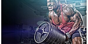 Для тренировок