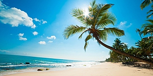 Пляжные песни