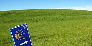 Путь Сантьяго-де-Компостела